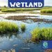 Wetland by Francie Dolan