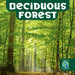 Deciduous Forest by Francie Dolan