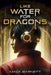 Like Water for Dragons by Maija Barnett