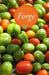 Forge 11.2 by Forge