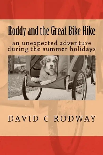 Roddy and the Great Bike Hike: An unexpected adventure during the Summer Holidays by David C. Rodway