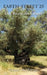 Earth-Street 25: Der Baum des Lebens by Muhlberger, Manuel