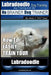 Labradoodle Training: Dog Training With the No BRAINER Dog TRAINER "We Make it That Easy" How to EASILY Train Your Labradoodle by Paul Allen Pearce