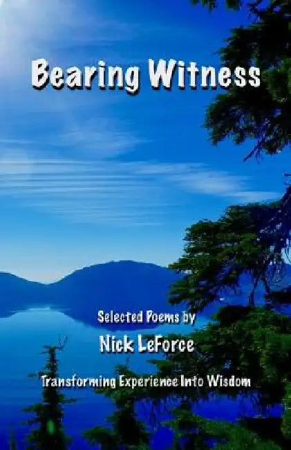 Bearing Witness: Transforming Experience Into Wisdom by Nick Leforce