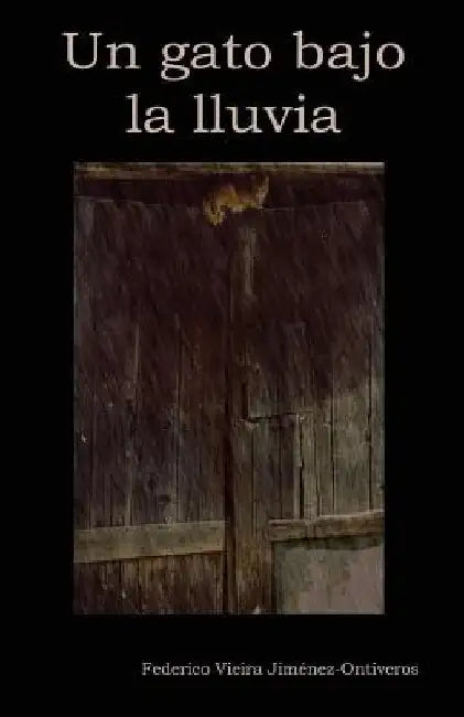 Un gato bajo la lluvia by Jimenez-Ontiveros, Federico Vieira