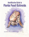 Identification Guide to Florida Fossil Echinoids by Debbie P. Bowe