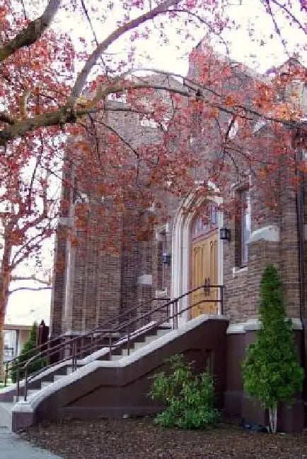 Cashmere Presbyterian Church History: 125 Years of Service by Elaine Settles