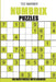 Numbrix Puzzles: 100 Math Puzzles With Answers by Ted Warner