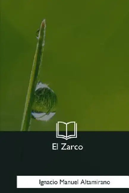 El Zarco by Altamirano, Ignacio Manuel