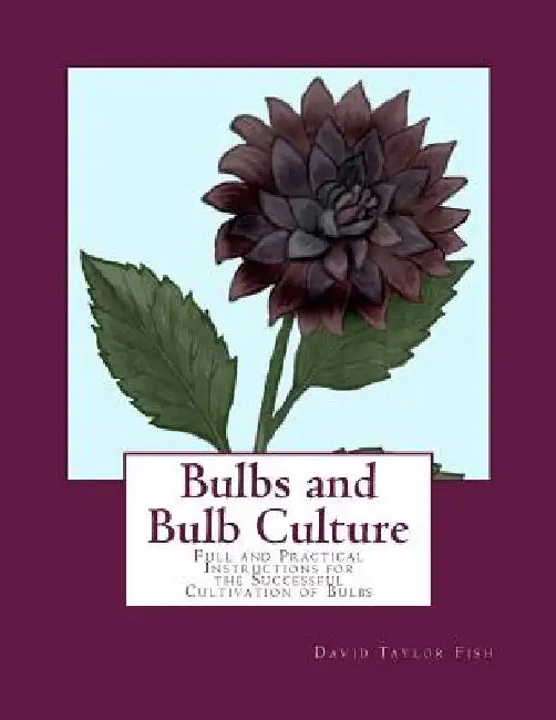 Bulbs and Bulb Culture: Full and Practical Instructions for the Successful Cultivation of Bulbs by Roger Chambers