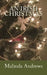 An Irish Christmas by Malinda Andrews