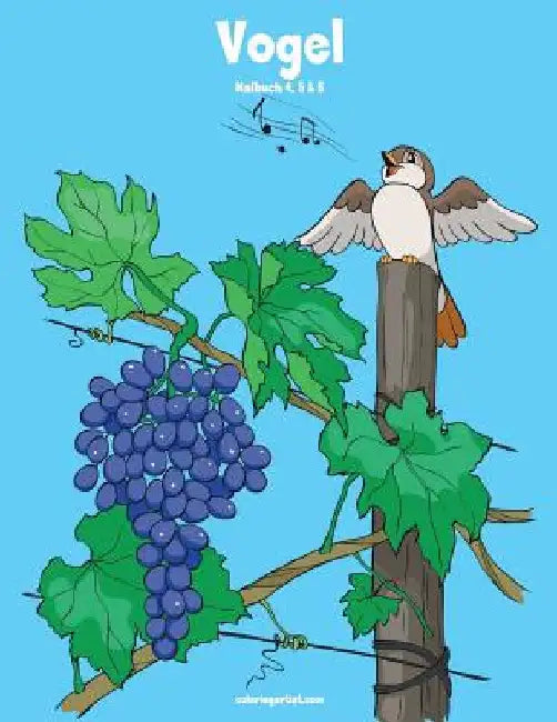 Vogelmalbuch 4, 5 & 6 by Snels, Nick
