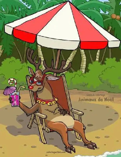 Livre de coloriage Animaux de Noël 3 & 4 by Snels, Nick