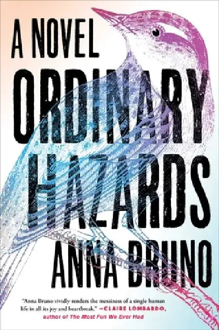 Ordinary Hazards by Anna Bruno