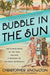 Bubble in the Sun: The Florida Boom of the 1920s and How It Brought on the Great Depression by Christopher Knowlton