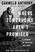 Where Tomorrows Aren't Promised: A Memoir of Survival and Hope by Carmelo Anthony