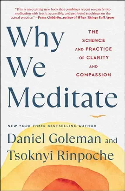Why We Meditate: The Science and Practice of Clarity and Compassion by Daniel Goleman