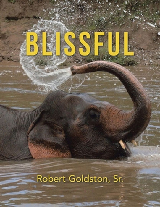 Blissful by Robert Goldston Sr