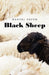 Black Sheep by Danyel Depth