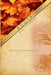 Roots book + workbook: Book + Workbook by Sure Fire Ministry