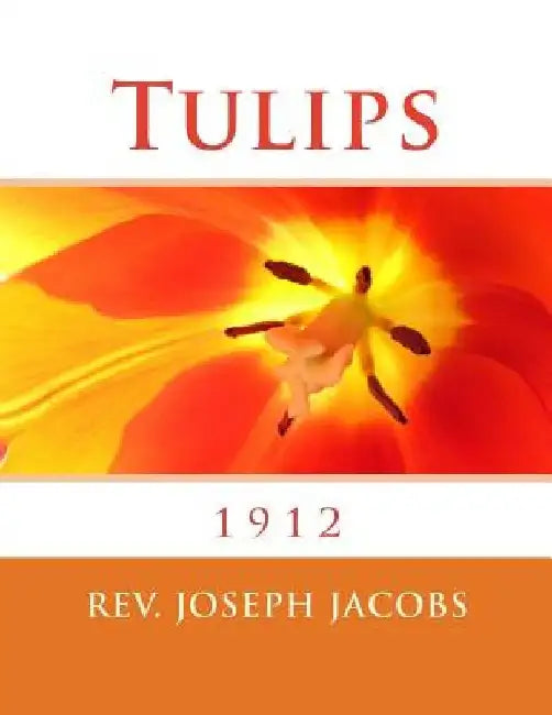 Tulips by Roger Chambers