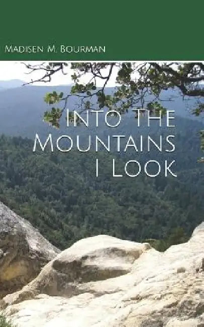 Into The Mountains I Look by Madisen M. Bourman