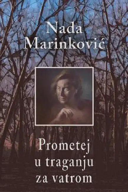 Prometej U Traganju Za Vatrom by Marinkovic, Nada