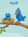 Uccelli Libro da Colorare 5 & 6 by Snels, Nick