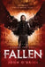 Lifting the Veil: Fallen by John O'Brien