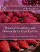 Practical Strawberry and General Berry Fruit Culture: Also of Grapes, Asparagus, Rhubarb, etc. by Roger Chambers