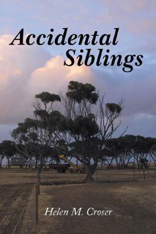 Accidental Siblings: Family Connections by Helen M. Croser