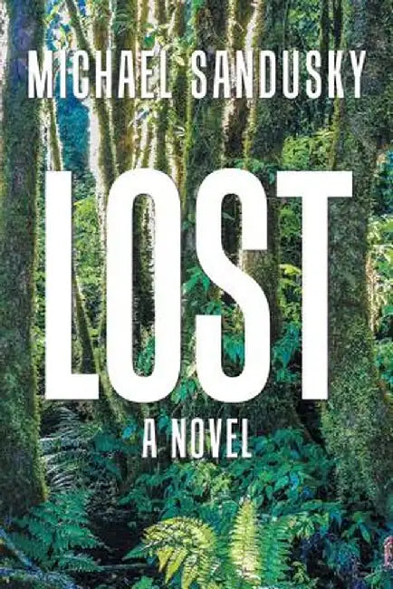 Lost by Michael Sandusky
