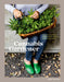 The Cannabis Gardener: A Beginner's Guide to Growing Vibrant, Healthy Plants in Every Region by Penny Barthel