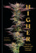 Higher: The Lore, Legends, and Legacy of Cannabis by Dan Michaels