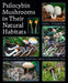 Psilocybin Mushrooms in Their Natural Habitats: A Guide to the History, Identification, and Use of Psychoactive Fungi by Paul Stamets