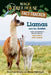 Llamas and the Andes: A Nonfiction Companion to Magic Tree House #34: Late Lunch with Llamas by Mary Pope Osborne
