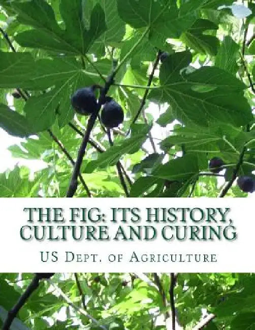 The Fig: Its History, Culture and Curing: With Descriptions of the Known Varieties of Figs by Roger Chambers