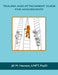 Trauma and Attachment Guide for Adolescents by Jill M. Hanson