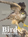 Learn the Art of Bird Photography: The Complete Field Guide for Beginning and Intermediate Photographers and Birders by Tim Boyer