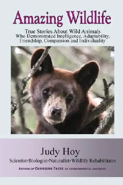 Amazing Wildlife: Amazing Wildlife: True Stories About Wild Animals Who Demonstrated Intelligence, Adaptability, Friendship, Compassion by Judy Hoy