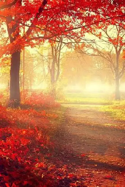 Autumn Trail by Legacy4life Planners