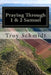 Praying Through 1 & 2 Samuel by Troy Schmidt