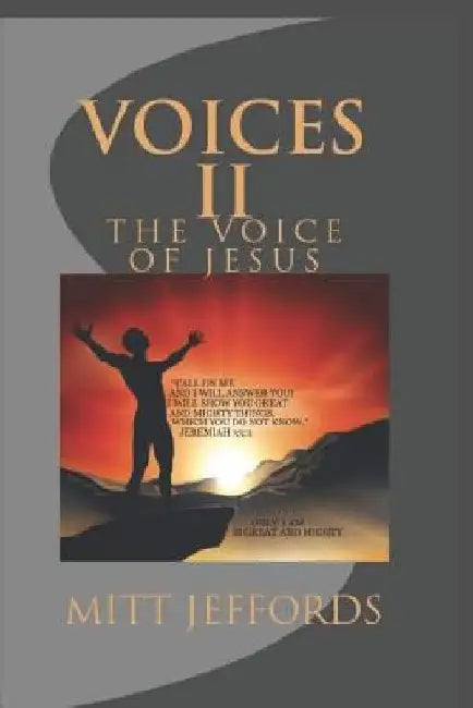 voices 2: volume two by Mitt Jeffords