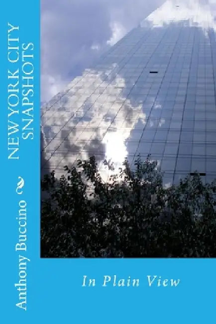 NEW YORK CITY SNAPSHOTS In Plain View by Anthony R. Buccino