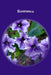 Romance by Joseph Conrad