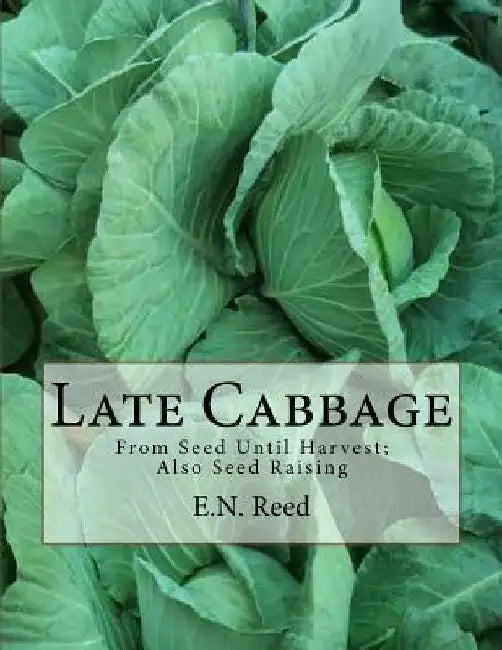 Late Cabbage: From Seed Until Harvest; Also Seed Raising by Roger Chambers