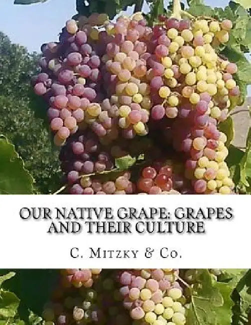 Our Native Grape: Grapes and Their Culture: A List of Old and New Grape Varieties by Roger Chambers