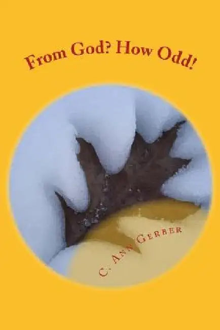 From God? How Odd! by C. Ann Gerber