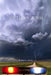 Southern Storm by Mary Ward Markane