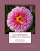 Crysanthemum Culture for America: A Book About Crysanthemums, Their History, Classification and Care by Roger Chambers